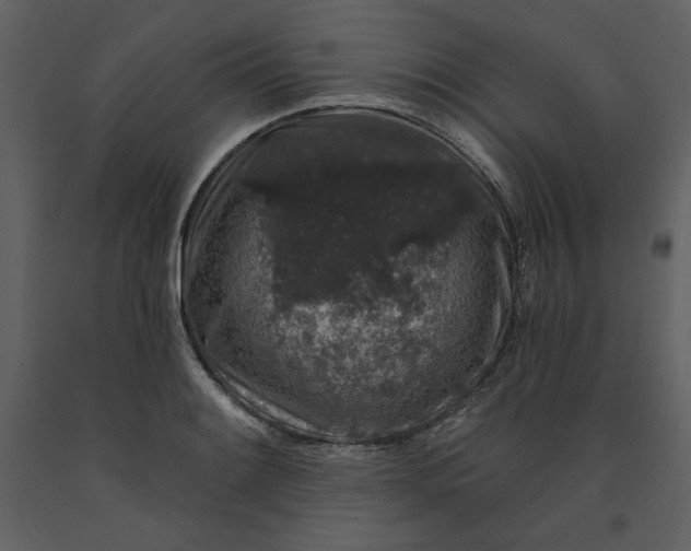 X0000091211084200708231602