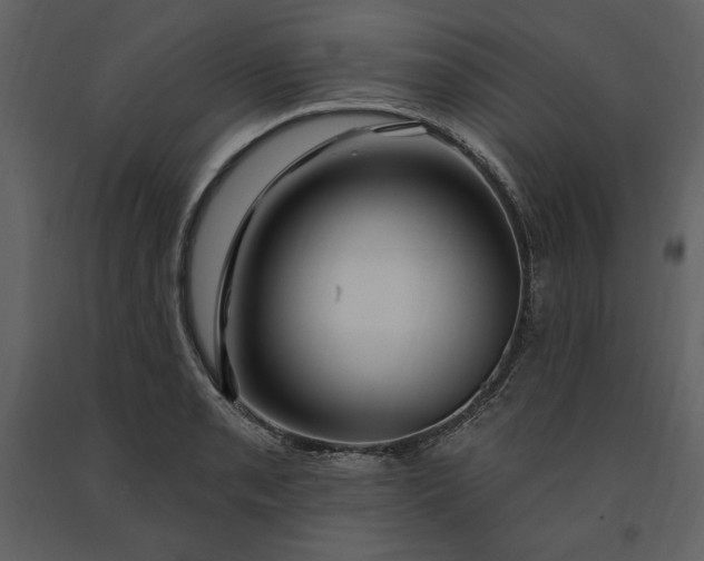 X0000091211085200708231602