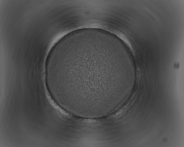 X0000091211088200708231601