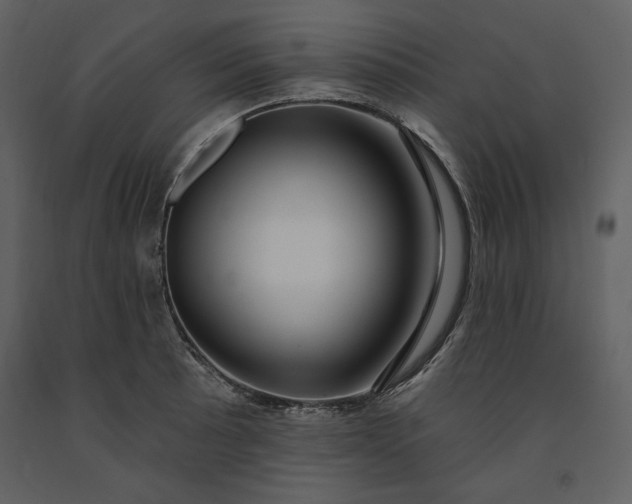 X0000091211089200708231601