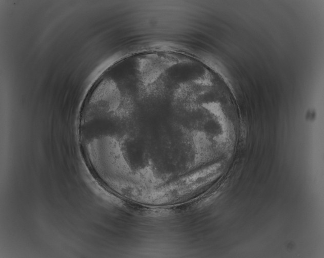 X0000091211090200708231601