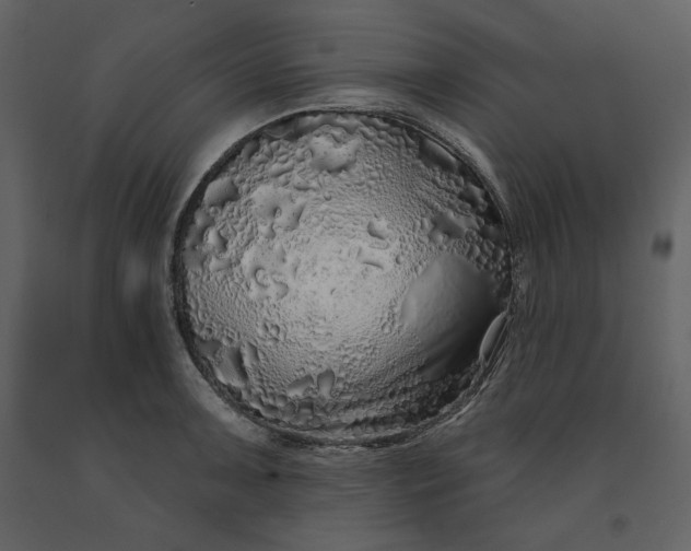 X0000091211091200708231601