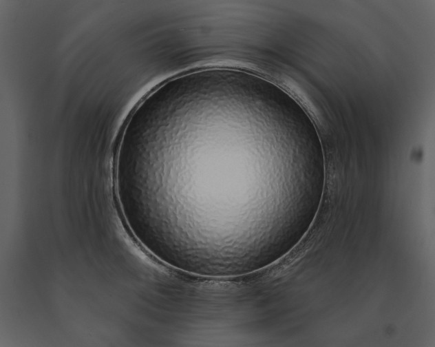 X0000091211092200708231601