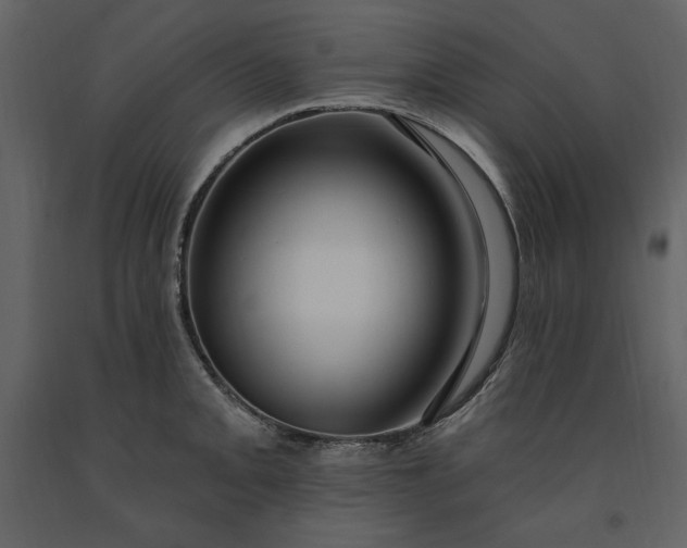X0000091211093200708231601