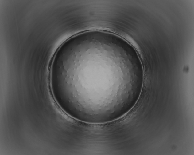 X0000091211096200708231601