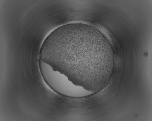 X0000091211100200708231601