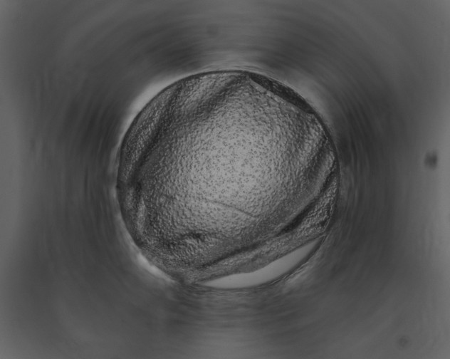 X0000091211102200708231601