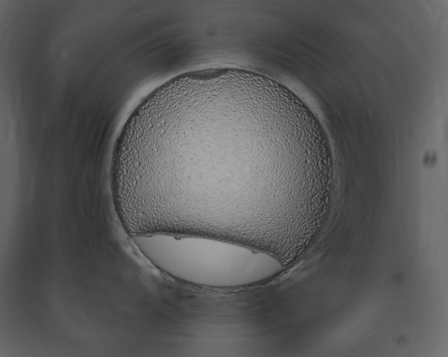 X0000091211104200708231601