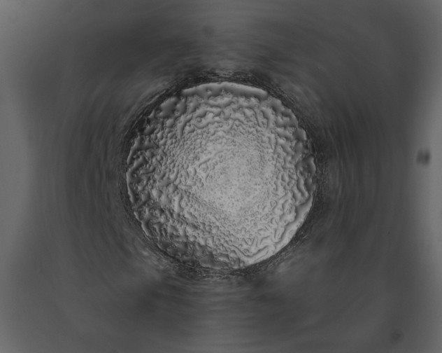 X0000091211105200708231600