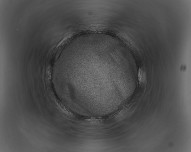 X0000091211107200708231600