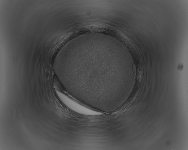 X0000091211108200708231600