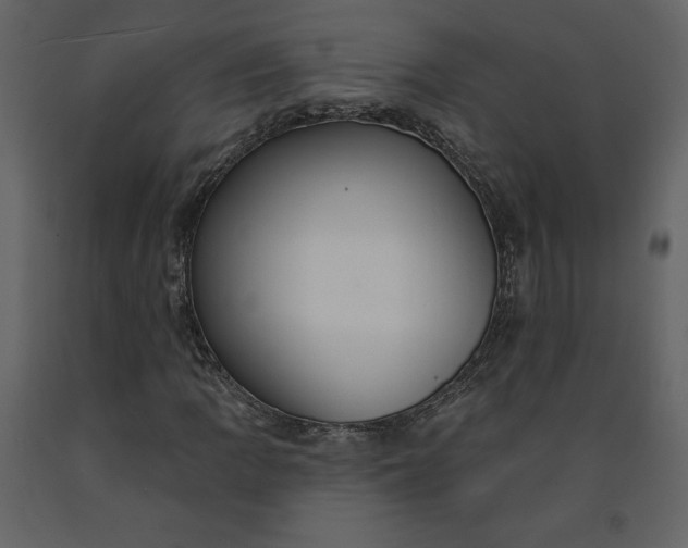 X0000091211109200708231600