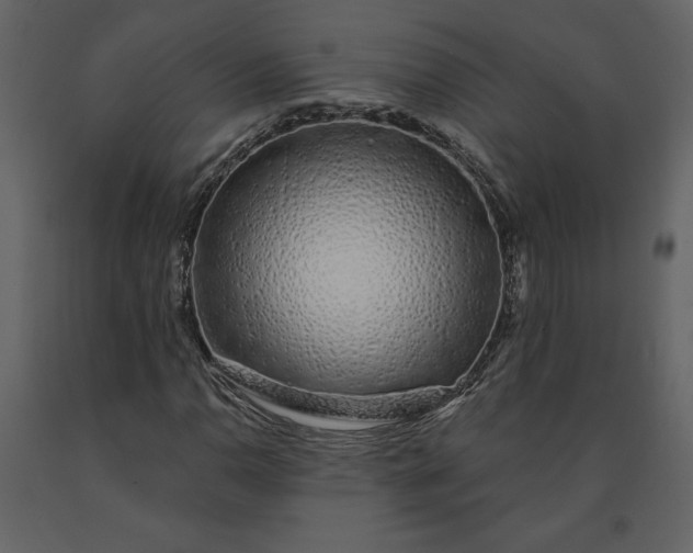 X0000091211110200708231601