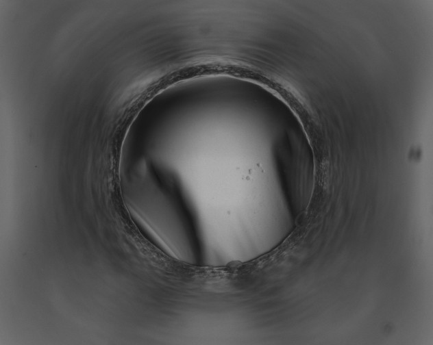 X0000091211111200708231601
