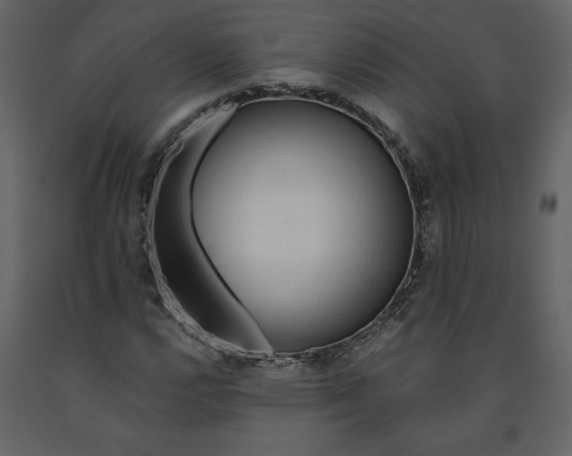 X0000091211112200708231601