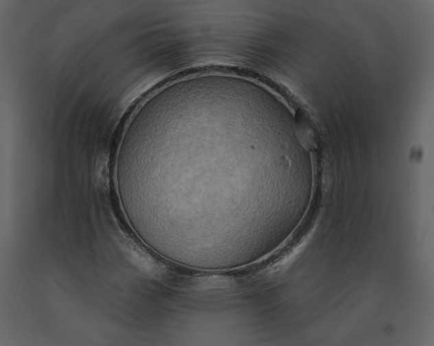 X0000091211113200708231601