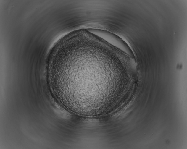 X0000091211115200708231601