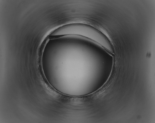 X0000091211116200708231601