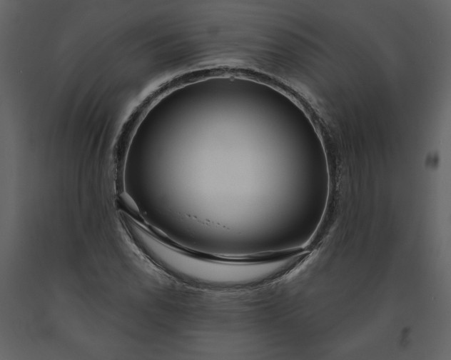 X0000091211118200708231601