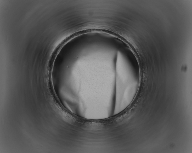 X0000091211119200708231601