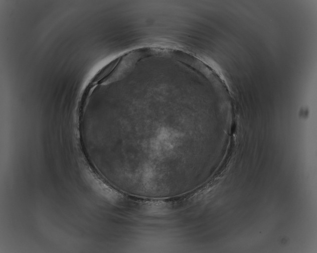 X0000091211120200708231601