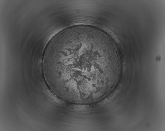 X0000091211121200708231601