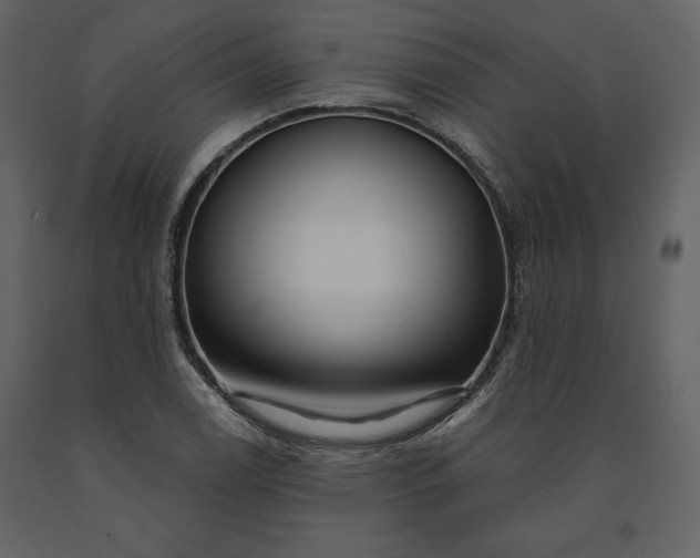 X0000091211122200708231601