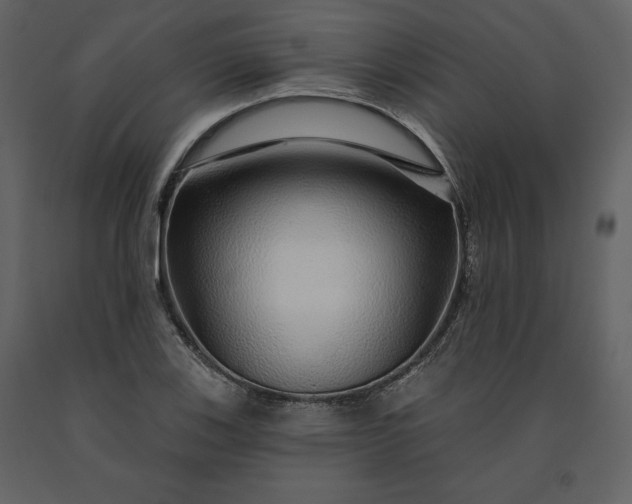 X0000091211123200708231601