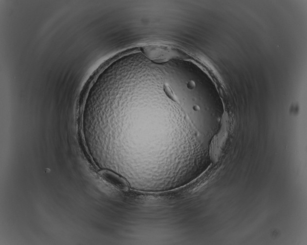 X0000091211124200708231601