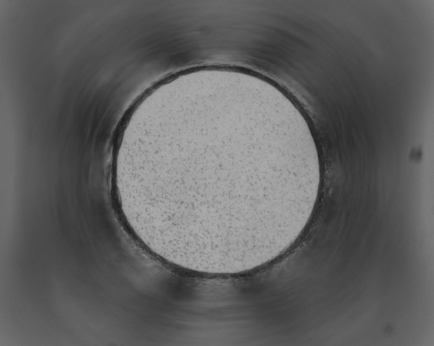 X0000091211126200708231601