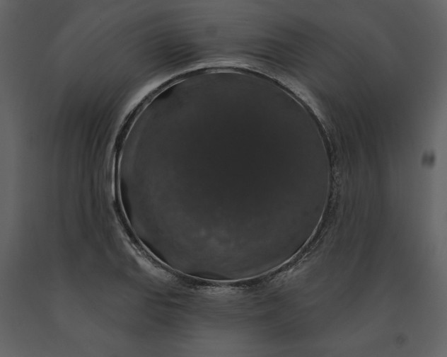 X0000091211127200708231601