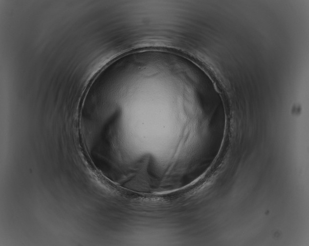 X0000091211129200708231601