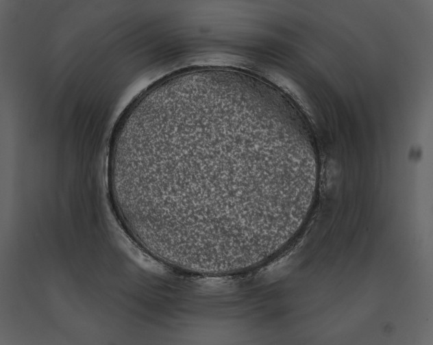 X0000091211130200708231601