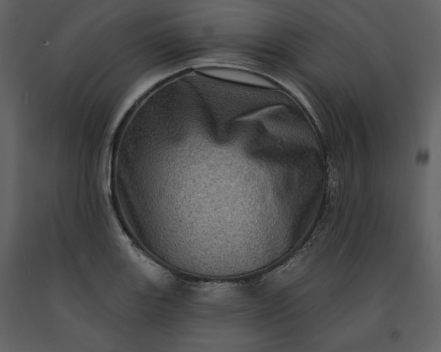 X0000091211131200708231601