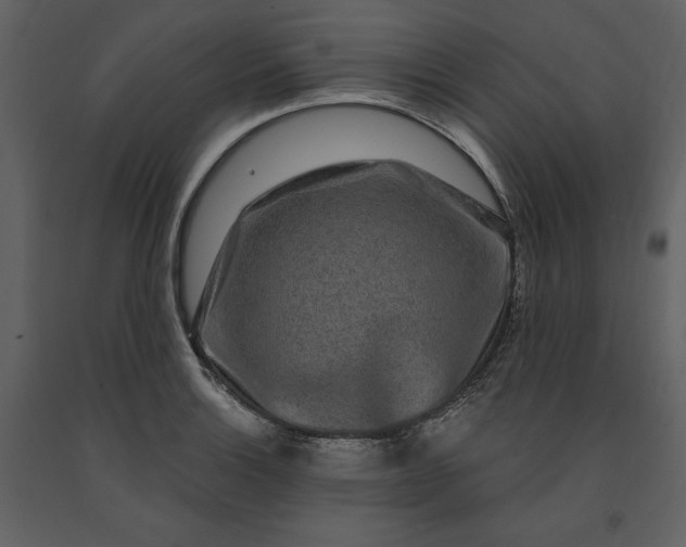 X0000091211132200708231601