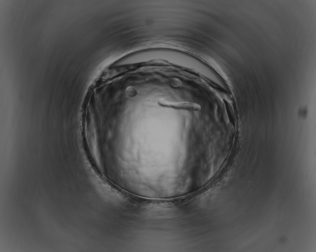 X0000091211133200708231601
