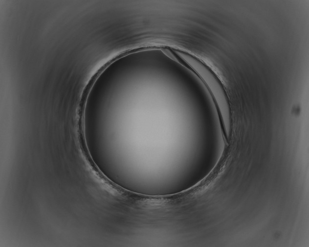 X0000091211134200708231601
