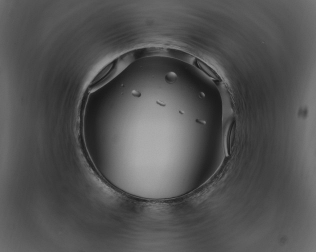X0000091211136200708231601