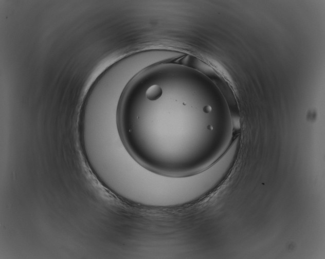 X0000091211138200708231601