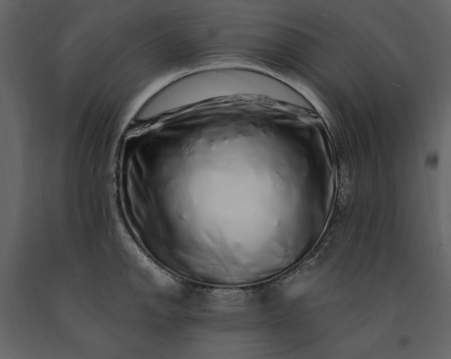 X0000091211142200708231601