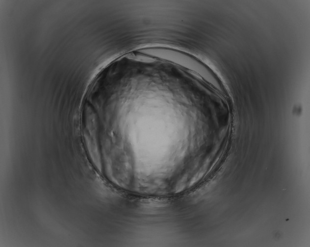 X0000091211145200708231601
