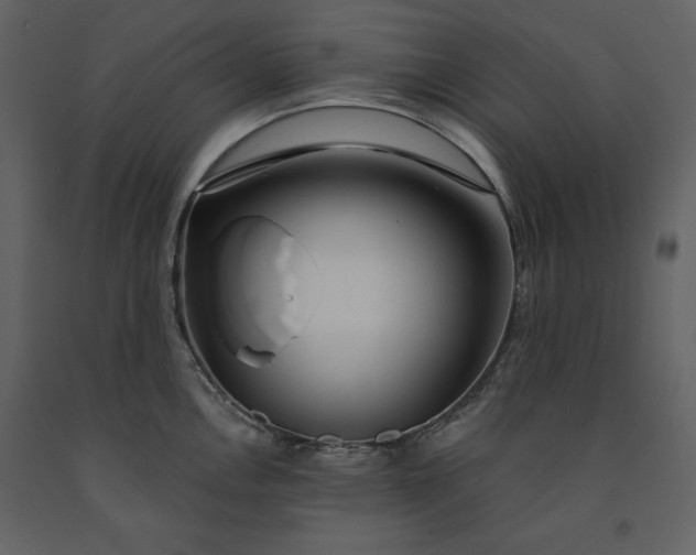 X0000091211146200708231601