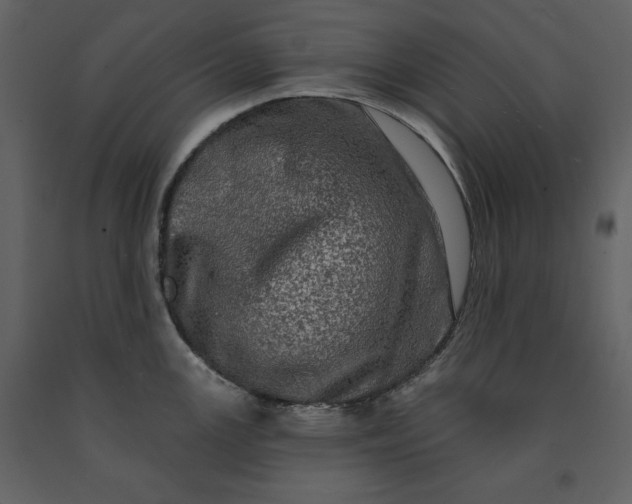 X0000091211147200708231601