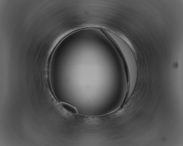 X0000091211148200708231601