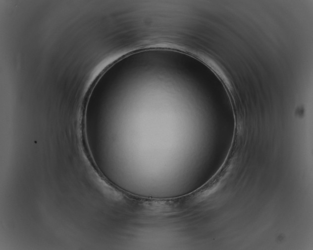X0000091211149200708231601