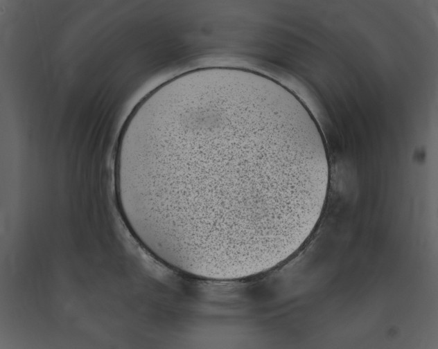 X0000091211150200708231601
