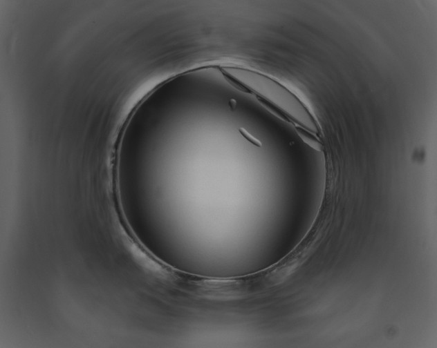 X0000091211151200708231601