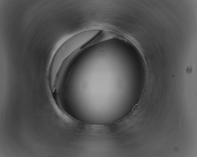 X0000091211152200708231601