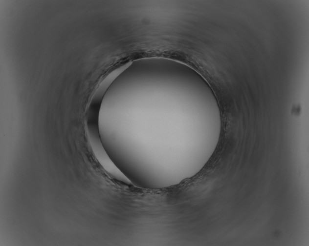 X0000091211153200708231600