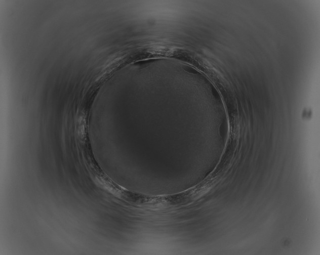 X0000091211154200708231600